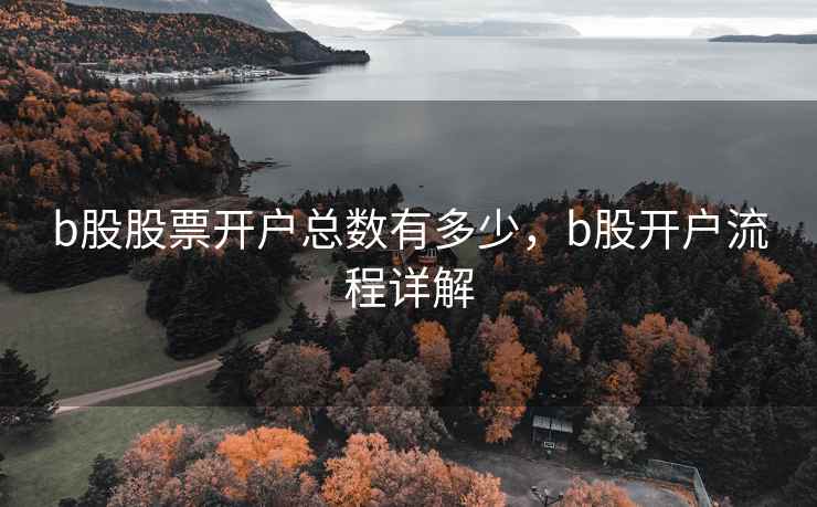 b股股票开户总数有多少，b股开户流程详解