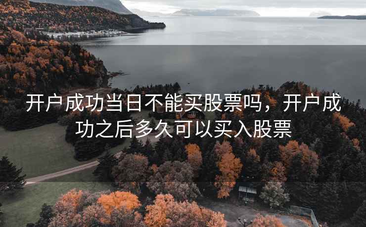 开户成功当日不能买股票吗，开户成功之后多久可以买入股票