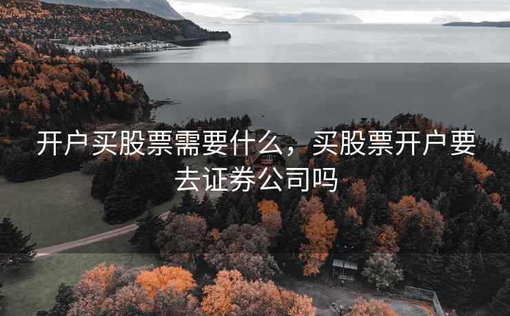开户买股票需要什么，买股票开户要去证券公司吗