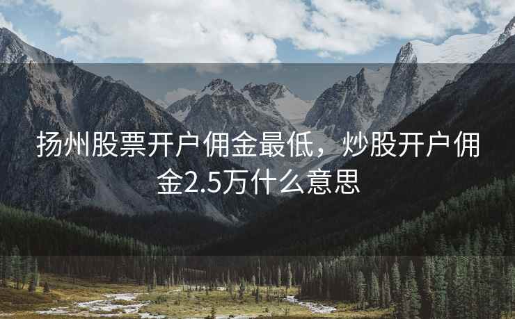 扬州股票开户佣金最低，炒股开户佣金2.5万什么意思