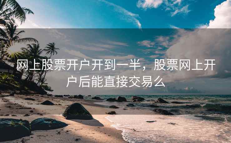 网上股票开户开到一半，股票网上开户后能直接交易么