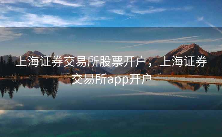 上海证券交易所股票开户，上海证券交易所app开户