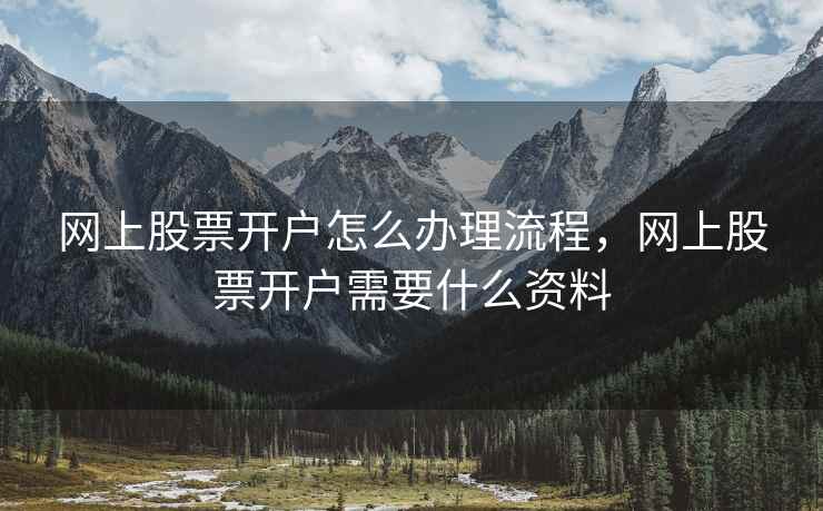 网上股票开户怎么办理流程，网上股票开户需要什么资料