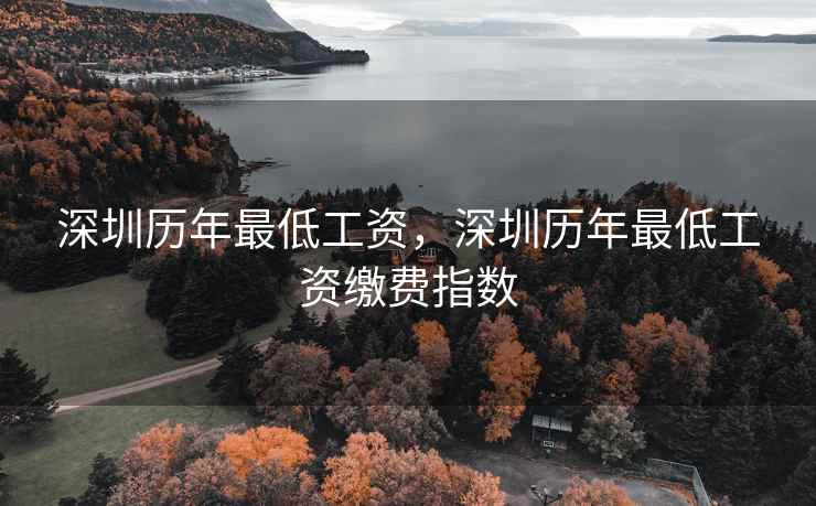 深圳历年最低工资，深圳历年最低工资缴费指数