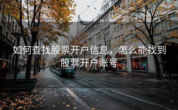 如何查找股票开户信息，怎么能找到股票开户账号