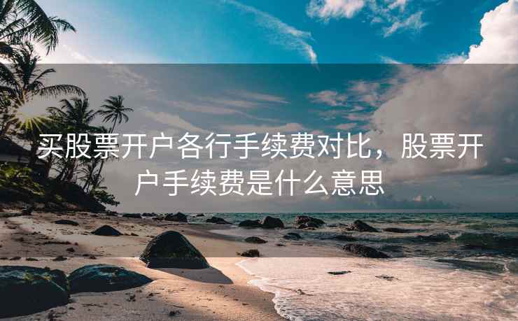 买股票开户各行手续费对比，股票开户手续费是什么意思