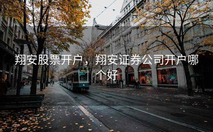 翔安股票开户，翔安证券公司开户哪个好