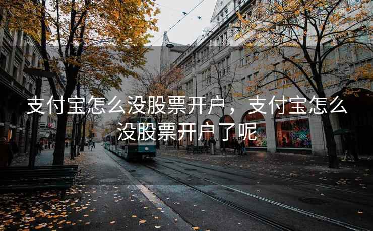 支付宝怎么没股票开户，支付宝怎么没股票开户了呢