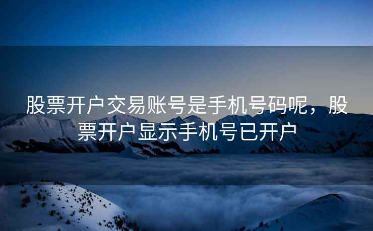 股票开户交易账号是手机号码呢，股票开户显示手机号已开户