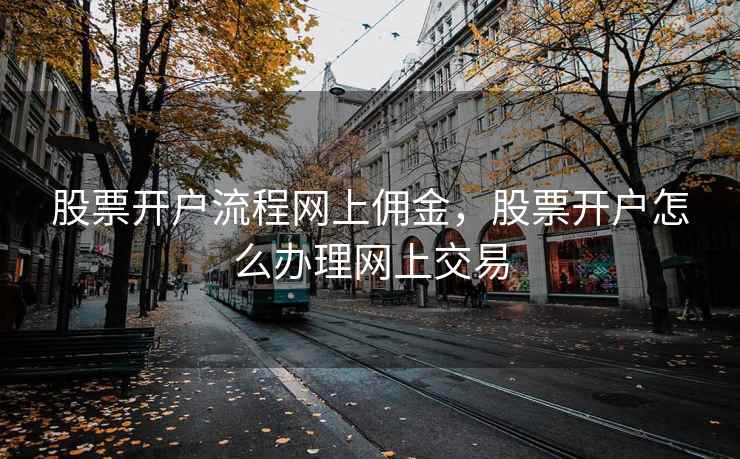 股票开户流程网上佣金，股票开户怎么办理网上交易