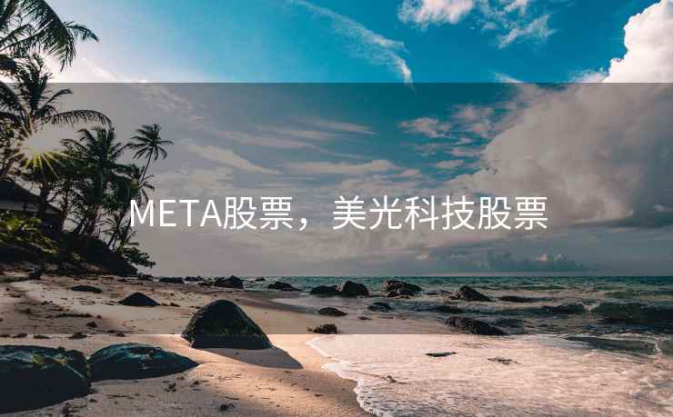 META股票，美光科技股票