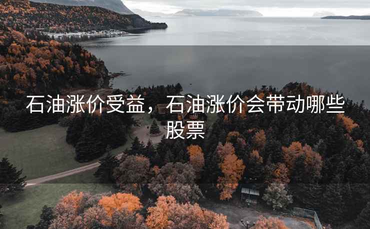 石油涨价受益，石油涨价会带动哪些股票