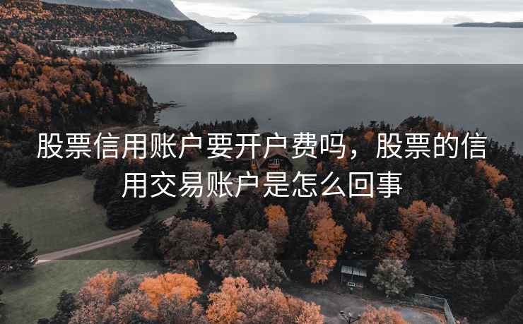 股票信用账户要开户费吗，股票的信用交易账户是怎么回事