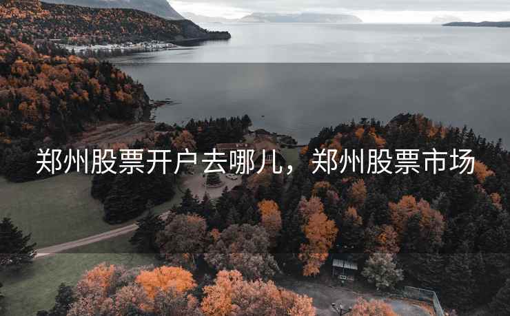 郑州股票开户去哪儿，郑州股票市场