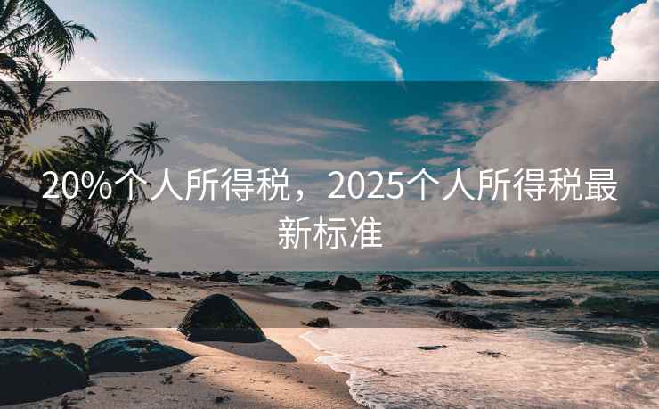 20%个人所得税，2025个人所得税最新标准