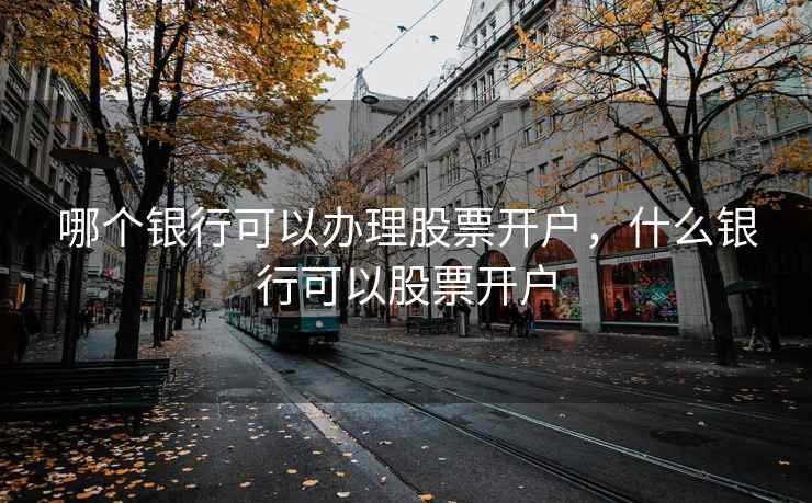 哪个银行可以办理股票开户，什么银行可以股票开户