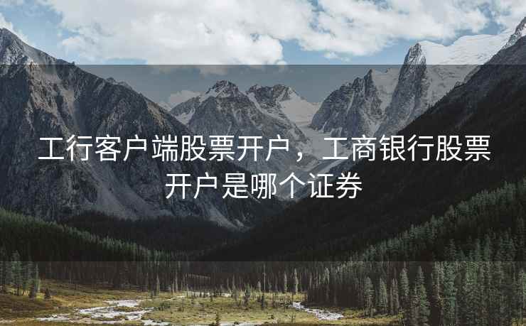 工行客户端股票开户，工商银行股票开户是哪个证券