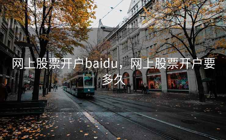 网上股票开户baidu，网上股票开户要多久