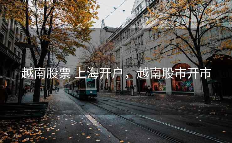 越南股票 上海开户，越南股市开市