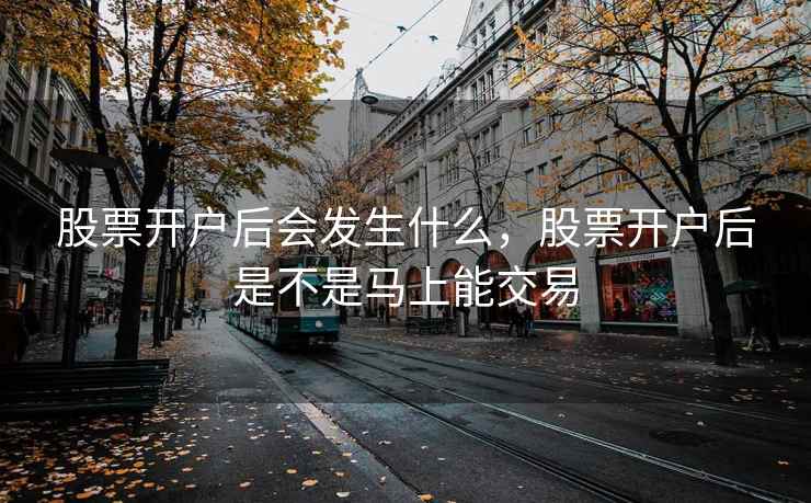 股票开户后会发生什么，股票开户后是不是马上能交易