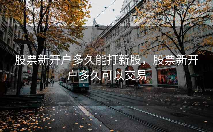 股票新开户多久能打新股,股票新开户多久可以交易 股票新开户多久能打新股,股票新开户多久可以交易