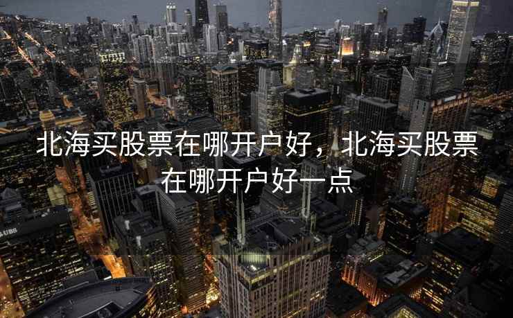 北海买股票在哪开户好，北海买股票在哪开户好一点