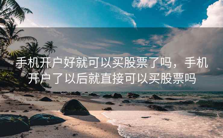 手机开户好就可以买股票了吗，手机开户了以后就直接可以买股票吗