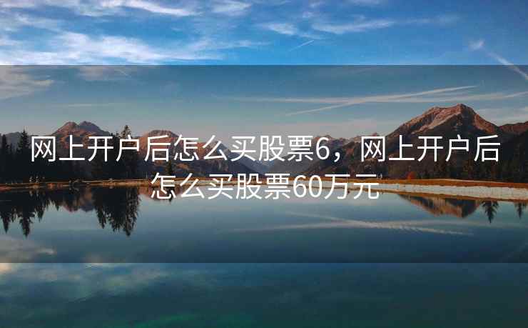 网上开户后怎么买股票6，网上开户后怎么买股票60万元