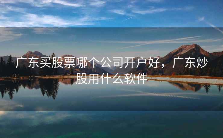广东买股票哪个公司开户好，广东炒股用什么软件