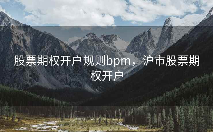 股票期权开户规则bpm，沪市股票期权开户