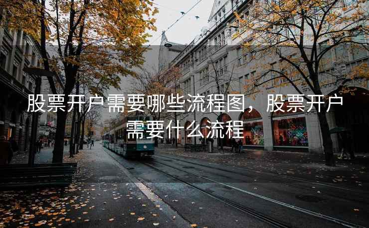 股票开户需要哪些流程图，股票开户需要什么流程