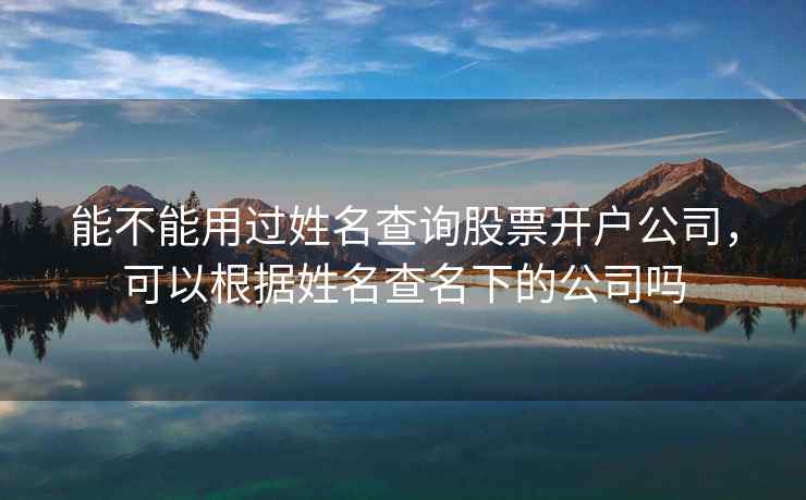 能不能用过姓名查询股票开户公司，可以根据姓名查名下的公司吗