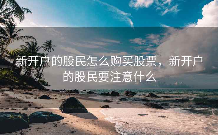 新开户的股民怎么购买股票，新开户的股民要注意什么